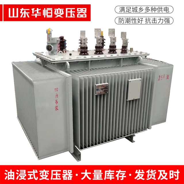 S13-10000/35平罗平罗平罗电力变压器厂家