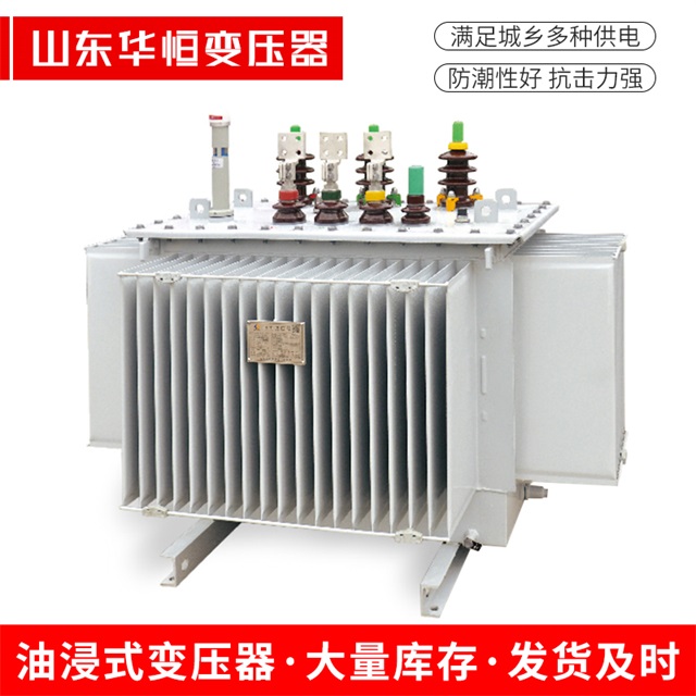 S13-10000/35平罗平罗平罗电力变压器